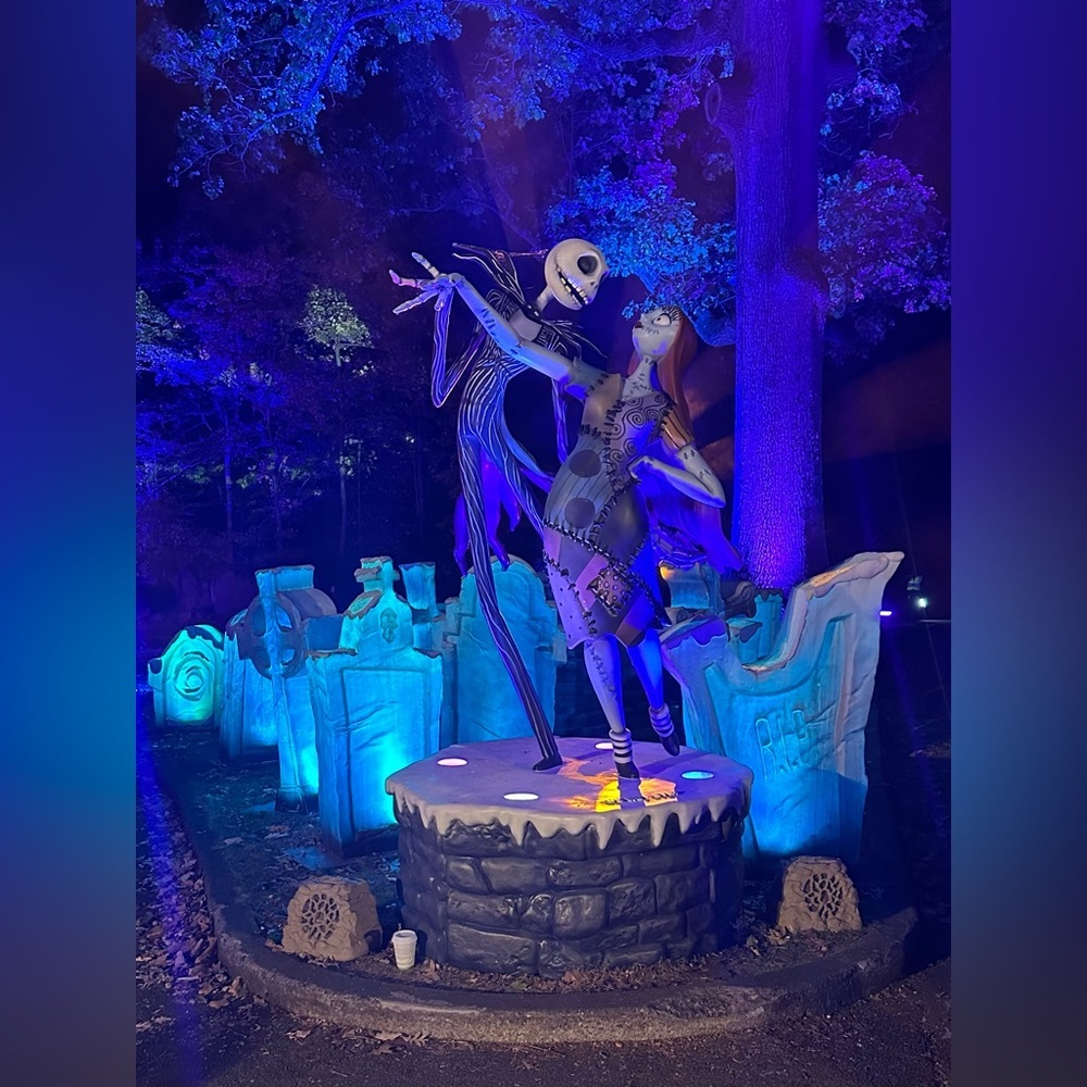 Nightmare Before Christmas Light Trail at Botanical Gardens